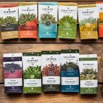 Affordable Tea Brewing Tips | Steep on a Budget